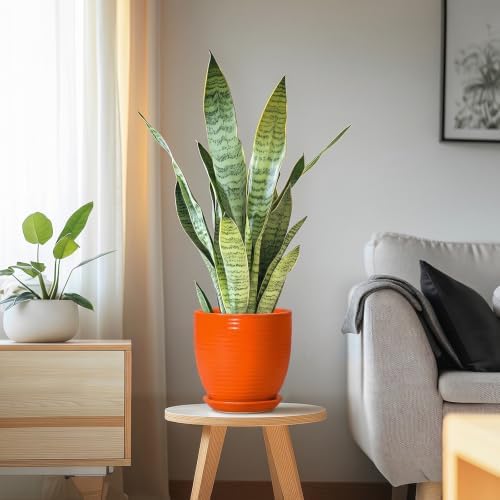 6 Inch Ceramic Plant Pots with Drainage Hole and Saucer, Orange - Image 6