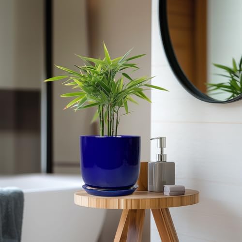 Ceramic Flower Pot 7 Inch - Cylinder 7 Inch Round Planter for Cactus Orchid Plants with Drainage Hole and Saucer, Home Office Room Desk Decor, Blue - Image 7