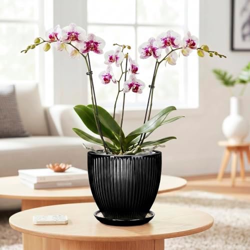 6 Inch Ceramic Planter, Indoor Plant Pots for Small Plants, Decorative Flower Pots with Drainage Hole and Saucer, Round Pot for Plants, Office Bathroom Decor, Gifts for Plant Lovers, Black - Image 3
