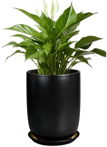 Ceramic Planter 8 Inch - Plant Pot for Indoor Outdoor Plants Cylinder Flower Pot with Drainage Hole and Saucer Black by SUNPOTFOR