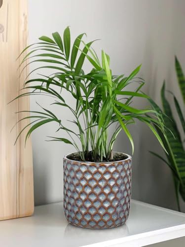 Oairse Small Ceramic Pots for Plants, 5.3 inch Blue Plant Pot Indoor with Drainage Ceramic Planters for Indoor Plants Succulent Planters Decorative Flower Pots for Cactus, Snake Plant, Herb - Image 4