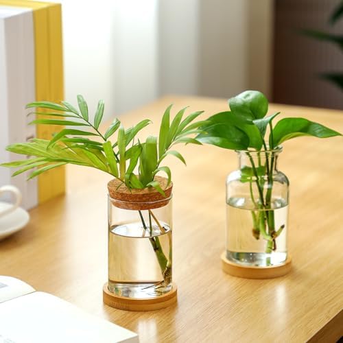 Layhit 4 Pcs Plants Propagation Stations vases Glass Planters with Wooden Lid and Bamboo Stand for Hydroponic Plants Gardening Gifts for Women Mom Home Office Tabletop Decoration(Wide Mouth Style) - Image 2