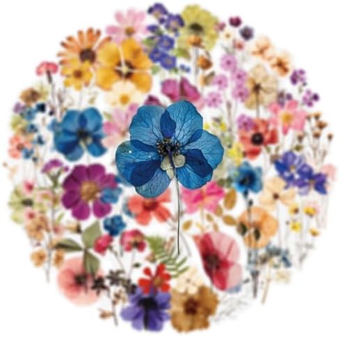 50PCS Transparent Flora Scrapbook Stickers, Vintage Aesthetic Flowers Sticker for Scrapbooks Travel Journal, Vinyl Waterproof for Water Bottles Laptop Phone Scrapbook Supplies DIY Crafts (Flower-B) - Image 2