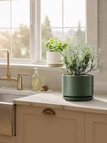 LE TAUCI Ceramic Pots for Plants, 6.8 Inch Plant Pots with Drainage Hole & Saucer, Modern Planter for Indoor Plants, Stable & Durable, Perfect for Living Room or Office Decor, Forest Green - Image 5
