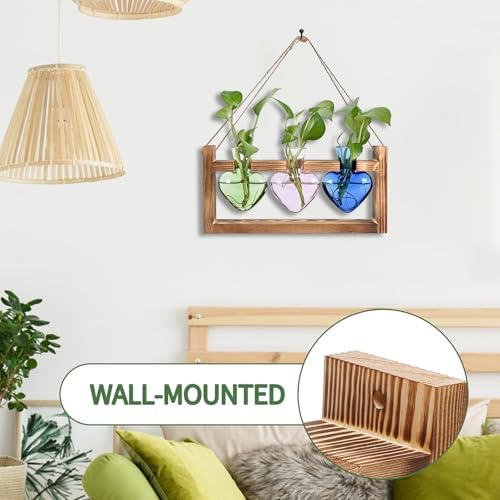 Plant Terrarium Propagation Stations Hydroponics - Image 3