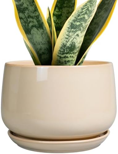G EPGardening Ceramic Planter, 7 Inch Plant Pots, Beige by GEPGardening