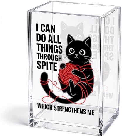 Funny I Can Do All Things Through Acrylic Pencil Holder Cup Gifts by Unknown