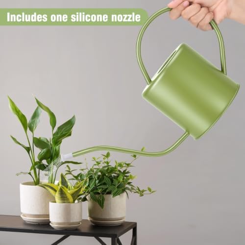 Plant Watering Can, 50 oz / 1500 ml Stainless Steel Metal - Modern Decorative with Long Spout for Indoor Potted Plants, Bonsai, Garden Flowers, Saga Green - Image 4