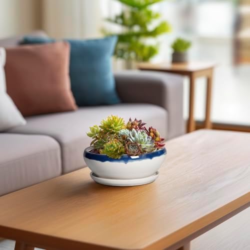 SQOWL Succulent Planters 6 Inch - Ceramic Bonsai Pots with Drainage Hole and Saucer, Round Shallow Planter for Indoor Plants, Ceramic Cactus Pot, Apartment Decor, Gifts for Women, Blue Off-White - Image 6