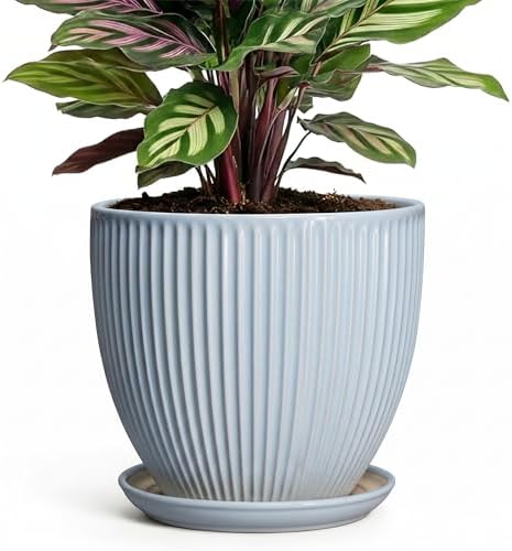 Ceramic Flower Pots, 6 Inch Plant Pot for Indoor Plants, Modern Ceramic Planter with Drainage Hole and Saucer, Small Orchid Pots, Home Decor, Gifts for Plant Lovers Women Men, Light Blue by Unknown