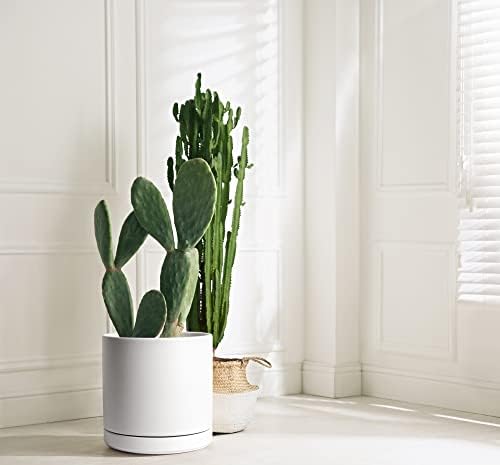 D'vine Dev 12 Inch Ceramic Planter Pot, White, 94-O-F-1 - Image 5