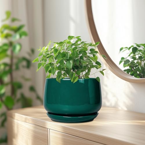 G EPGardening Ceramic Planter for Indoor Plants - 7 Inch Plant Pot, Round Planter with Drainage and Saucer, Round Flower Pots for Outdoor, Modern Desk Decor, Gift for Women Men, Green - Image 6