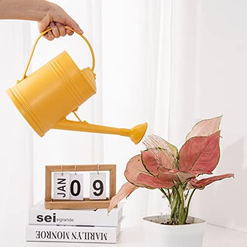 Plastic Indoor Watering Can with Detachable Sprinkler Head - 68oz (1/2 Gallon) for House Plants and Flowers - Image 4