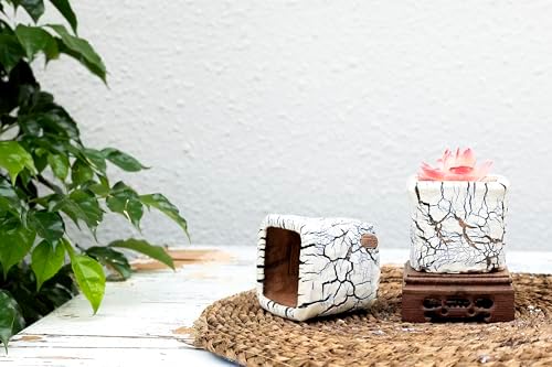 Ceramic Planter Pots w/Drainage, 3 Inch Set of 2, Indoor Outdoor Home Patio Garden Plants Flower Succulent, Crackle-Texture Square - Image 6