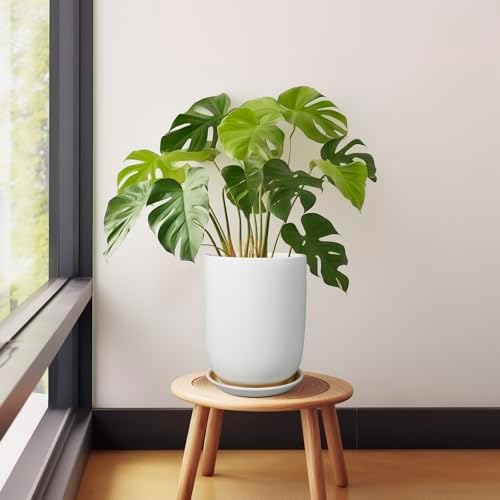 Plant Pot 8 Inch - Ceramic Planter for Indoor Plants Outdoor, Large Plant Pot with Drainage Hole and Saucer, Modern Flower Pot, White - Image 5