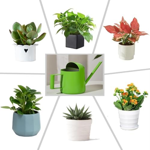 Mini Watering Can Stainless Steel Long Spout 10oz/300ml Small Watering Can for Indoor Desk Plants Outdoor Flowers Succulents Garden Watering Pot Gardening Tool (Green) - Image 3