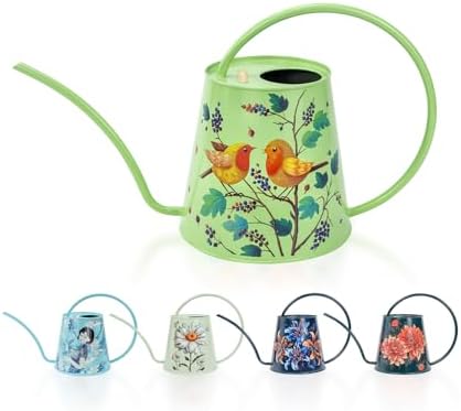 2L Long Spout Watering Can, Stainless Steel Water Can (Robin) by BerryBird