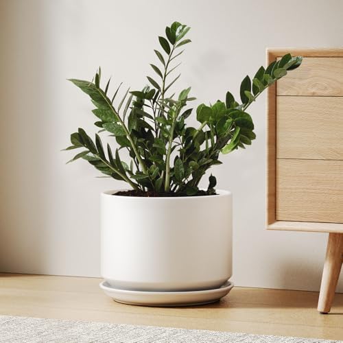 LE TAUCI Ceramic Pots for Plants, 10 Inch Plant Pot with Drainage Hole & Saucer, Sturdy & Modern Planters for Indoor Plants, Includes Mesh Screen, Fits Snake Plant & Monstera, White by LETAUCI