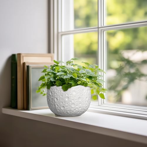 Ceramic Pots for Plants - 6 Inch Plant Pot for Indoor Outdoor, Decorative Orchid Pots with Drainage Hole, Unique Round Modern Planters, Home Decor, Gifts for Plant Lovers, White - Image 3