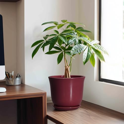Ceramic Planter, 8 Inch Plant Pot with Drainage Hole, Red - Image 3