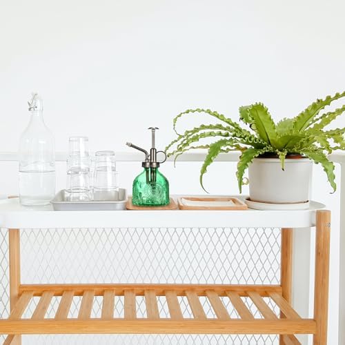 Glass Plant Mister Spray Bottle, Vintage Plant Spritzer Watering Can, Succulent Watering Bottle with Top Pump, Small Plant Sprayer Mister for Indoor Outdoor Houseplant - Green - Image 6