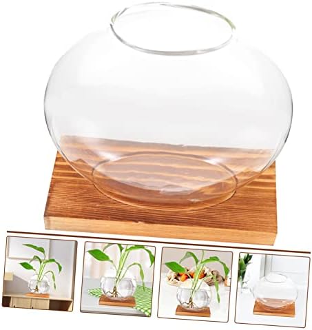 Hydroponic Glass Plant Vase with Wooden Base 5.03In Desktop Planter for Indoor Propagation Terrarium Home Office Decoration and Housewarming Gift - Image 2