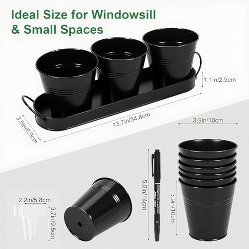Herb Garden Planter Indoor Kit – 6 Metal Pots with 2 Trays for Windowsill & Kitchen Counter – Modern Decorative Indoor Planters for Herbs, Succulents & Small Plants, Black - Image 4