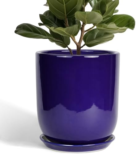 10 Inch Plant Pot - Ceramic Pot for Indoor Plants Large Planter Modern Outdoor Flower Pot with Drainage Hole and Saucer for Home Patio Decor Blue by SUNPOTFOR
