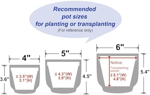 4 + 5 + 6 Inch Ceramic Pots for Indoor Plants, Succulents Plant Pots, Orchid Flower Pot with Drainage Hole, Modern Clay Stoneware Planters, Set of 3 (Reactive Glaze Grey Blue, 4 + 5 + 6 Inch） - Image 3