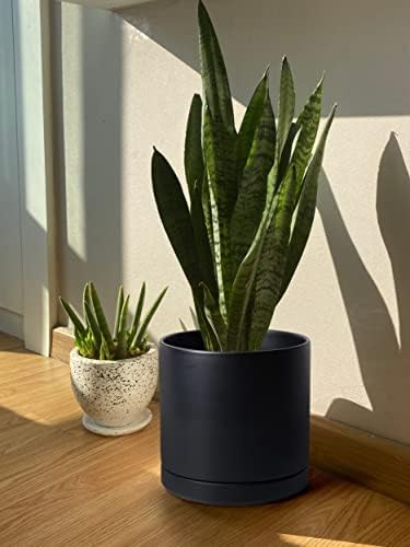 D'vine Dev 12 Inch Ceramic Planter Pot, Black, 94-O-F-2 - Image 6