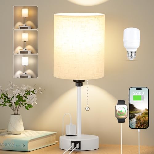 Small Bedside Table Lamp for Bedroom, Desk Lamp with USB Ports for Dorm by DicooolDirect