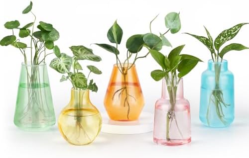 Mkono Propagation Vases 5 Glass Jars Station for Hydroponic Plants,Color by Mkono