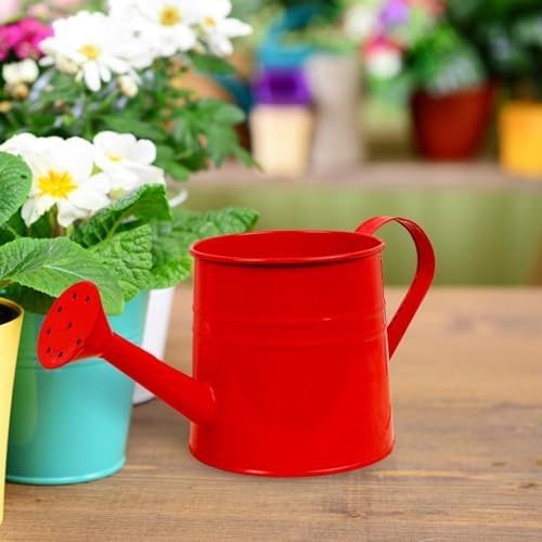 Small Watering Can, 1L Metal Flower Garden Watering Can, Gardening Tool Accessories for Outdoor Indoor Plants Lawn (Red) - Image 4