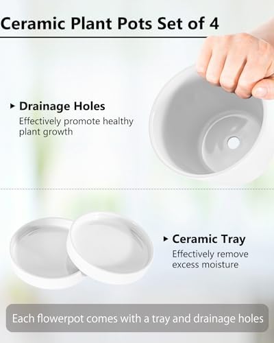 EFISPSS Flower Planter –5 inch Ceramic Plant Pots with Drainage Holes and Ceramic Tray - Gardening Home Desktop Office Windowsill Decoration Gift Set of 4 - Plants NOT Included (White) - Image 5