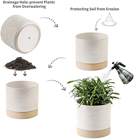 Nihow Ceramic Plant Pot,6 Inch Planter with Drainage Hole&Saucer for Indoor - Image 3