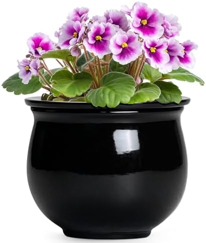 Ceramic African Violet Self Watering Pots, 6 Inch Self Watering Plant Pot with Absorbent Inner Pot, Flower Pots for Indoor Plants, Round Ceramic Planter, Home Decor, Plant Lover Gifts, Black by Teagas