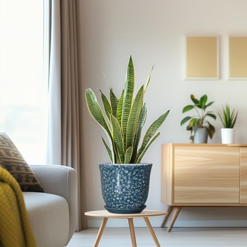 8 Inch Plant Pot - Ceramic Planter for Indoor Outdoor, Round Planter with Drainage Hole and Saucer, Modern Planters, Decorative Flower Pot, Garden Room Office Home Decor, Garden Gifts, Blue - Image 5