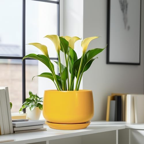 G EPGardening Ceramic Flower Pot - 9 Inch Plant Pots for Indoor Outdoor Plants, Round Ceramic Planter with Drainage and Plant Saucer, Modern Planter, Home Office Decor, Garden Gifts, Yellow - Image 6