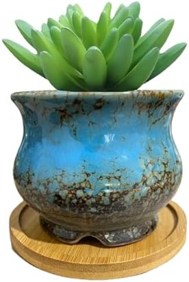 Cute 3.94 Inch Ceramic Home Garden Decoration Succulent Cactus Flower Pots Container -Plant Not Included，Blue by SJBAG