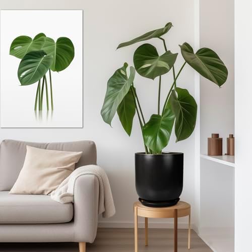 Ceramic Planter Pot - 12 Inch Large Plant Pot with Drainage Hole and Saucer Modern Flower Pot for Indoor Outdoor Plants Home Garden Decor Black - Image 5