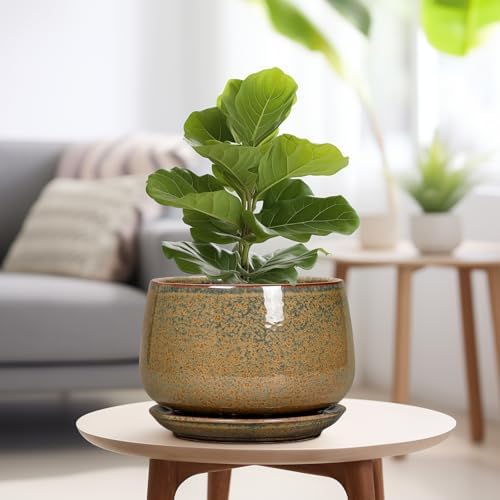 G EPGardening Ceramic Planters - 9 Inch Ceramic Pots for Plants Indoor Outdoor, Round Planter with Drainage and Saucer, Modern Indoor Flower Pots, House Room Decor, Gift for Women Men, Speckled Brown - Image 4