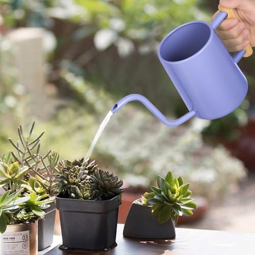 Watering Can Indoor Plants, 35 oz/1000 ml Metal Stainless Steel Watering Can Pot with Long Spout for Indoor House Plants Bonsai Outdoor Garden Flower Decorative (Purple) - Image 2