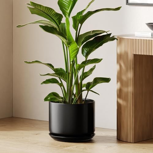 LE TAUCI 12 Inch Pots for Plants, Ceramic Plant Pots with Drainage Holes and Saucers, Elegant and Durable Large Plant Pot, Perfect for Home & Office Decor, Black by LETAUCI