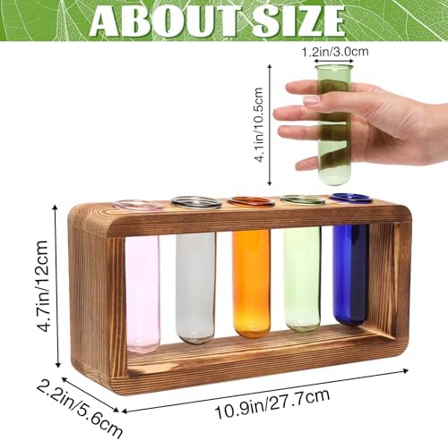 Glass Plant Propagation Station with 5 Test Tubes Colorful Planter Vase - Image 2