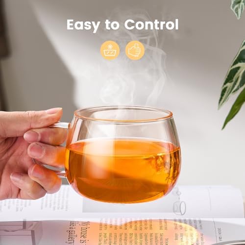PARACITY Tea Cup with Infuser and Lid, 13 oz Glass Tea Infuser Mug - Image 5