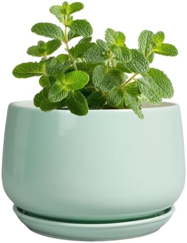 G EPGardening Ceramic Plants Pots - 4 inch Plant Pots Indoor Outdoor, Small Succulent Planter with Drainage Hole & Tray, Modern Flower Pot, Round Decorative Planters, Office Decor, Garden Gift, Green by GEPGardening