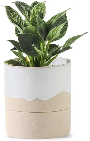 Nihow Self Watering Plant Pot: 4.5 Inch Ceramic Planter with Drainage Hole & Water Storage Plus for Indoor & Outdoor Plants - Cylinder Flower Pot for Herbs/Violets - White & Nature by Nihow