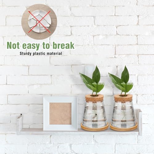 Baderke 12 Packs Propagation Vases for Plants Plastic Plant Propagation with Hole Lid and Bamboo Stand Growing in Water Hydroponic Home Office Desktop Vase Decoration (Cute Style) - Image 6