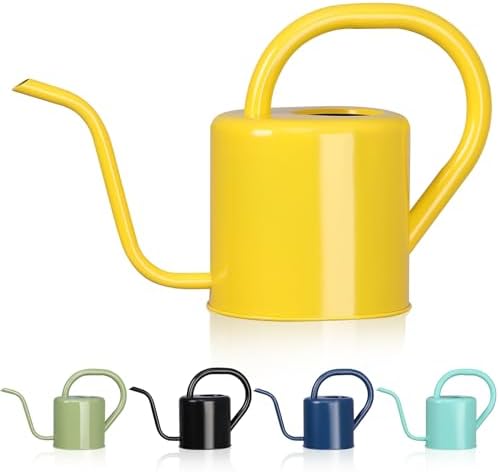 Watering Can, Stainless Steel Watering Can for Indoor & Outdoor Plants, 1L/35oz Long Spout Water Can with Handle, Rust-Proof Plant Watering Pot for House Plants, Garden Flowers by gegemaoyi