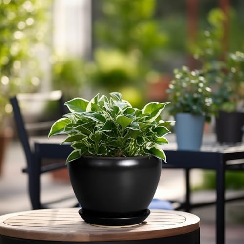Ceramicfor Ceramic Planter Pot - 6 Inch Plant Pot with Drainage Hole and Saucer Round Planter for Indoor Plants Outdoor Succulent Pot Modern Flower Pot for Home Decor Black - Image 4